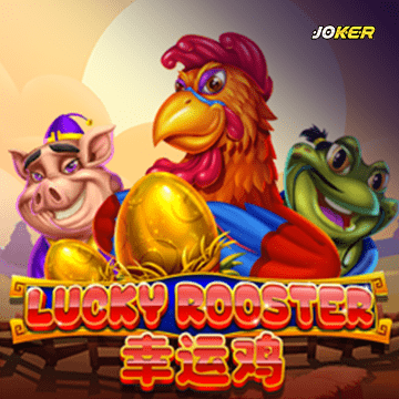 รวมเกมสล็อตทุกค่าย - Lucky Rooster
