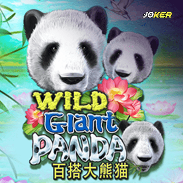 รวมเกมสล็อตทุกค่าย - Wild Giant Panda