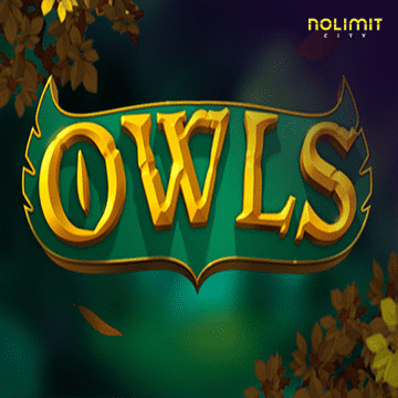 ทดลองเล่นสล็อต Owls